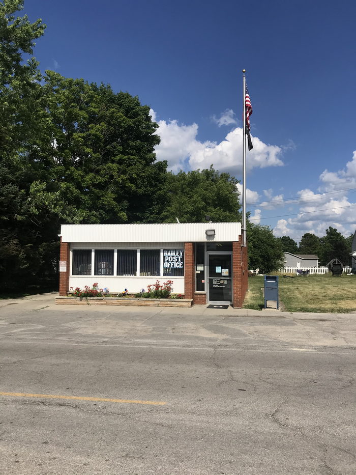 Hadley - Early 2020S Photo (newer photo)